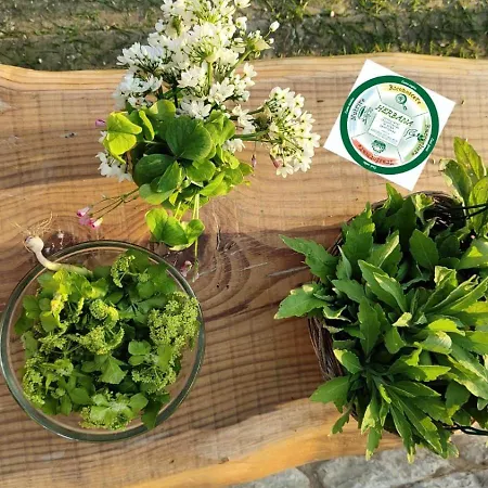 Bed & Breakfast Campo Del Mare Sirolo