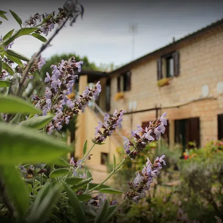 לינה וארוחת בוקר Campo Del Mare 3*