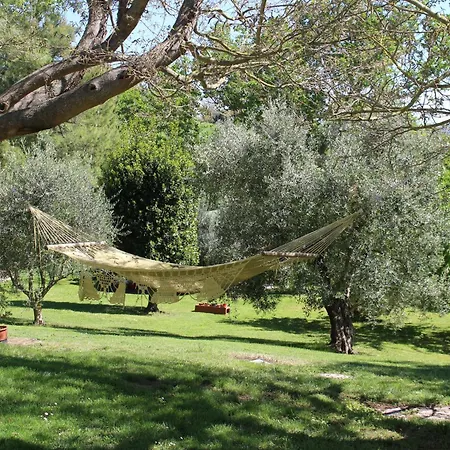 Campo Del Mare