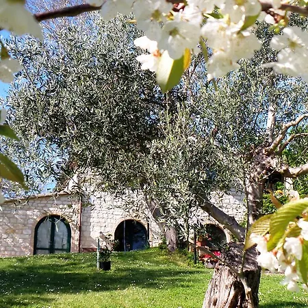 Campo Del Mare *