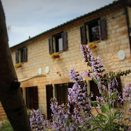 Campo Del Mare *