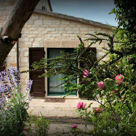 Alojamento de Acomodação e Pequeno-almoço Campo Del Mare 3*